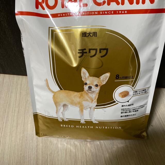 チワワ成犬　ご専用