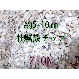 牡蠣殻チップ 300g 約5-10mm アクアリウム 金魚 メダカ 熱帯魚(アクアリウム)