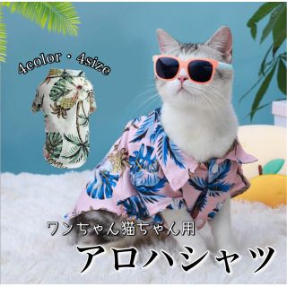 ホワイトMサイズ　おしゃれ　アロハシャツ　ペット服　猫服　犬服　可愛い　夏(猫)
