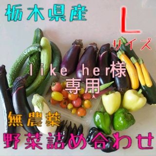 like her様専用　野菜おまかせ詰め合わせBOX【Ｌ】(野菜)