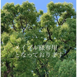 メイプル様専用となっております(バスケット/かご)