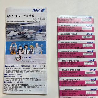 エーエヌエー(ゼンニッポンクウユ)(ANA(全日本空輸))のANA株主優待券(冊子付き)(その他)