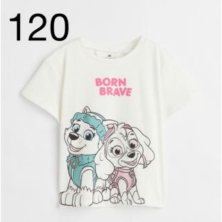 エイチアンドエム(H&M)の《最新作》新品未開封　パウパトロール　Tシャツ 120/130(Tシャツ/カットソー)