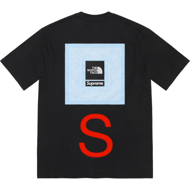 Supreme North Face Bandana Tee