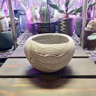 限定値下げ！konect layer pot　植木鉢　白黒　レア(プランター)