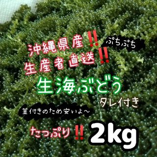 沖縄県産 海ぶどう 茎付き2000ｇ“ 商品の説明⚠️必読⚠️ ”(魚介)