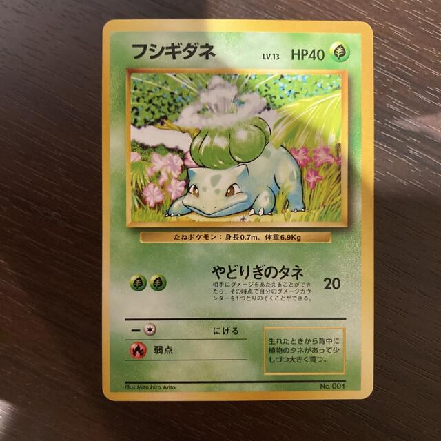parsippanyfocus.com - ポケモンカード フシギダネ 旧裏 初版 マーク
