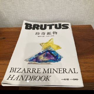 BRUTUS 珍奇鉱物　サカナクション　山口一郎(アート/エンタメ/ホビー)