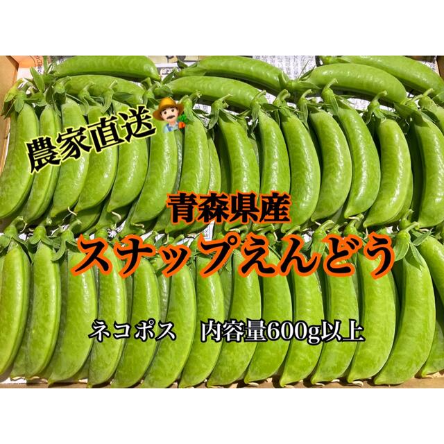 【ネコポス】採れたてスナップえんどう 食品/飲料/酒の食品(野菜)の商品写真