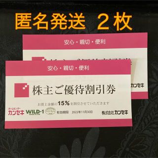 スノーピーク(Snow Peak)のカンセキ優待割引券  有効期限2022/11/30    2枚(ショッピング)