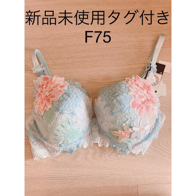 ブラジャー　サルート　中国音楽　店舗限定　新品未使用タグ付き　SX f75