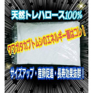 クワガタ・カブトムシ専用☆トレハロース粉砕　マットや菌糸、ゼリーに混ぜるとOK！(虫類)