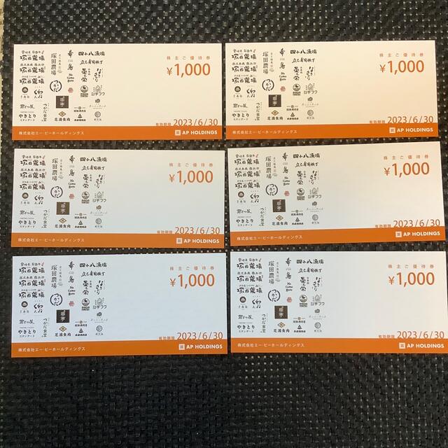 エーピーホールディングス 株主優待 6000円分