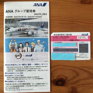 エーエヌエー(ゼンニッポンクウユ)(ANA(全日本空輸))のANA 株主優待券 グループ優待券(その他)