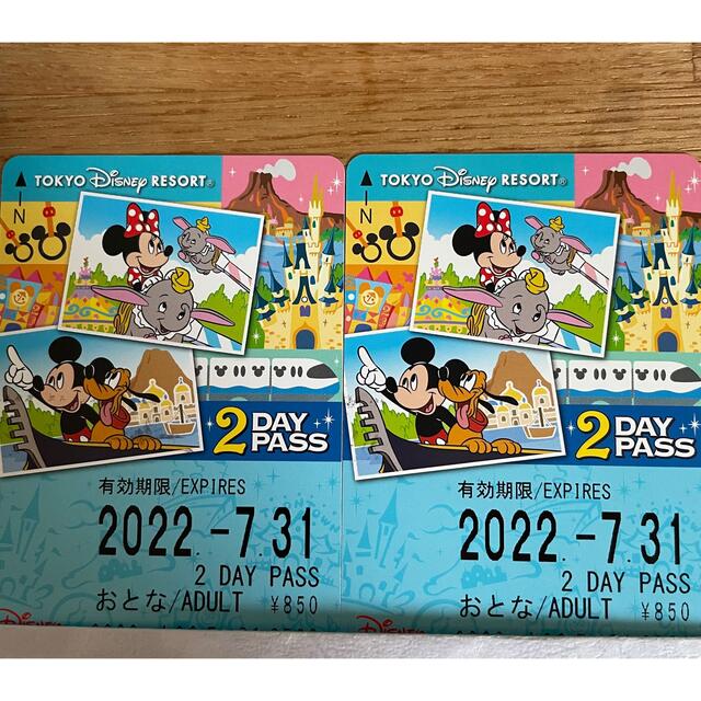 Disney(ディズニー)のディズニーリゾートライン　2days  パス　フリー　切符　２枚　未使用 チケットの施設利用券(遊園地/テーマパーク)の商品写真