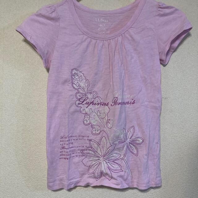 超激安 L.L.Bean - L LBeanボタニカル刺繍Ｔシャツ7 Tシャツ+カットソー