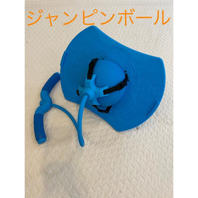 アンパンマン(アンパンマン)のジャンピングボール キッズ/ベビー/マタニティのおもちゃ(知育玩具)の商品写真