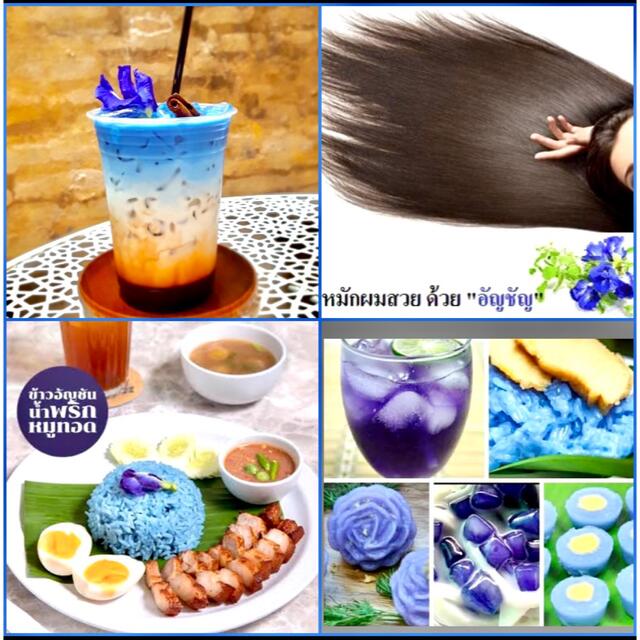 ◉乾燥バタフライピーButterfly Pea★25g(タイ産•無農薬) 食品/飲料/酒の健康食品(健康茶)の商品写真