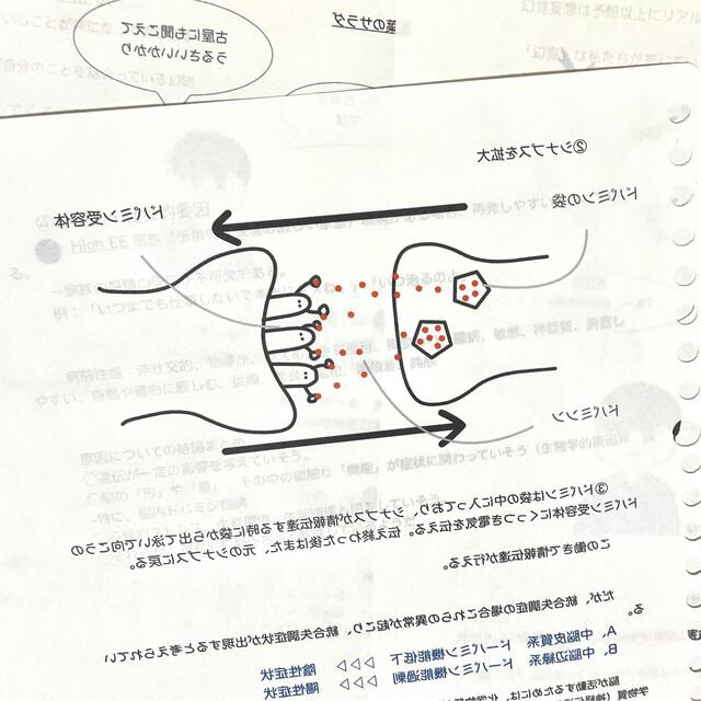 統合失調症　事前学習 エンタメ/ホビーの本(健康/医学)の商品写真