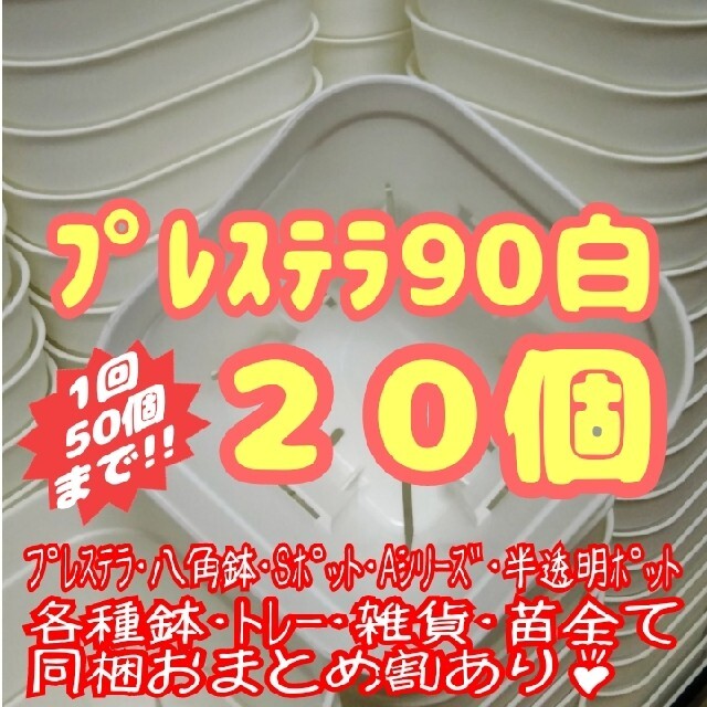 【スリット鉢】プレステラ90白20個 多肉植物 プラ鉢 ハンドメイドのフラワー/ガーデン(プランター)の商品写真