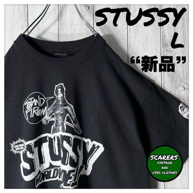 Tシャツ/カットソー(半袖/袖なし)【新品 メキシコ製 L】ステューシー 4面プリント ガールズフォト Tシャツ 黒