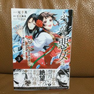 ふつつかな悪女ではございますが 雛宮蝶鼠とりかえ伝 ３(その他)