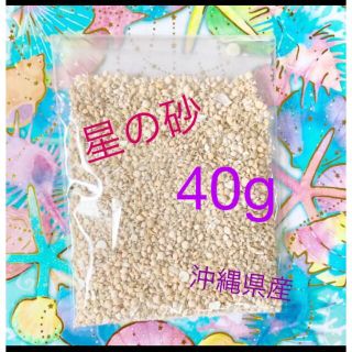 【即購入ok】星の砂40g 沖縄県産　ハンドメイド　ハーバリウム　レジン　貝殻　(各種パーツ)