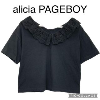 ページボーイ(PAGEBOY)のalicia PAGEBOY コットンレース襟カットソー(カットソー(半袖/袖なし))