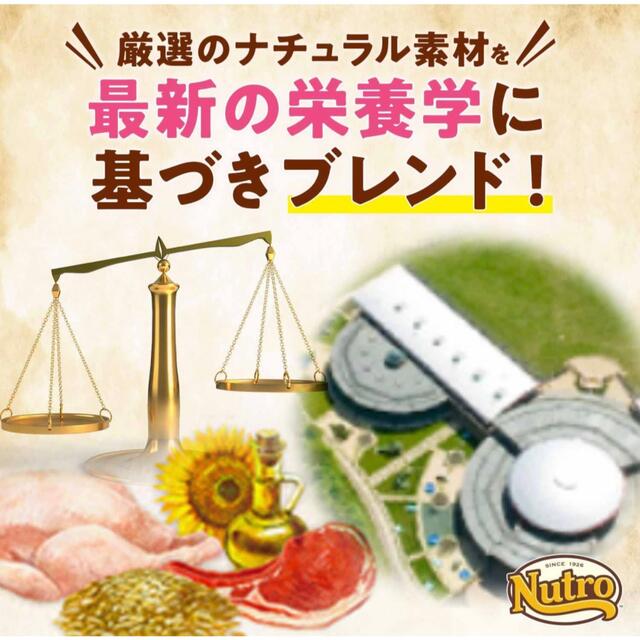 ピポ様専用　Nutro ニュートロ 毛玉トータルケア アダルト チキン その他のペット用品(ペットフード)の商品写真