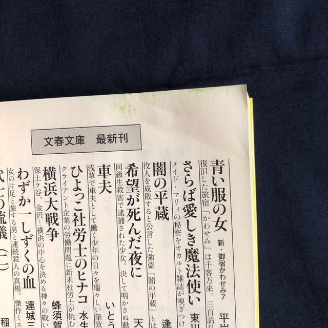 ひよっこ社労士のヒナコ 水生大海 文春文庫 エンタメ/ホビーの本(文学/小説)の商品写真