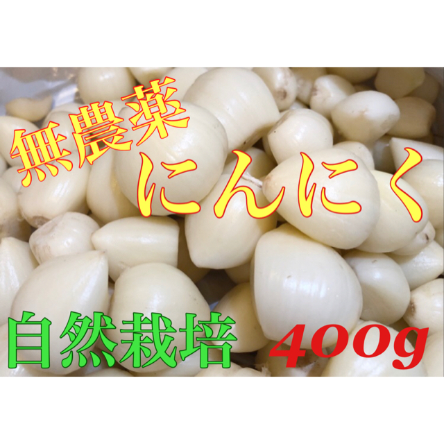 無農薬にんにく(バラ)　400g 食品/飲料/酒の食品(野菜)の商品写真