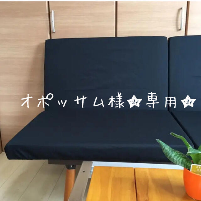 Snow Peak - 専用出品 ラックソット スノーピーク 専用シートカバー