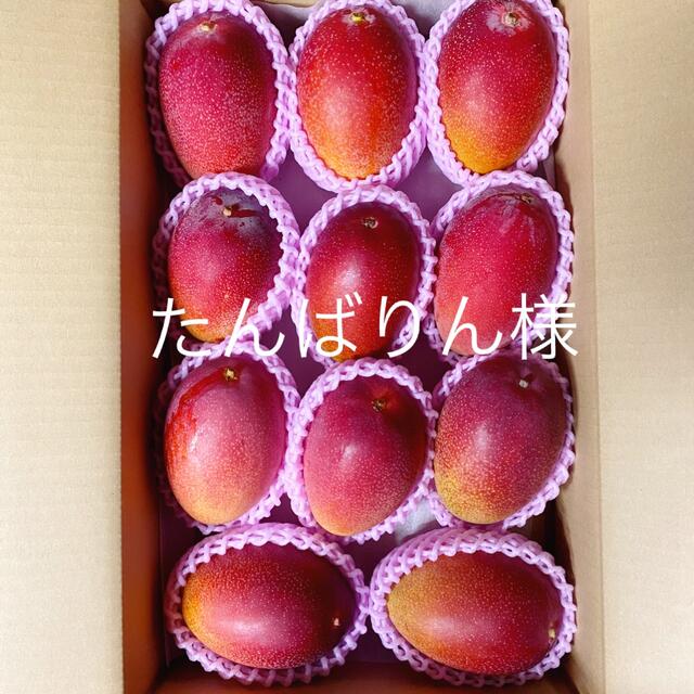宮崎県産 完熟マンゴー 3.5kg クール便 食品/飲料/酒の食品(フルーツ)の商品写真