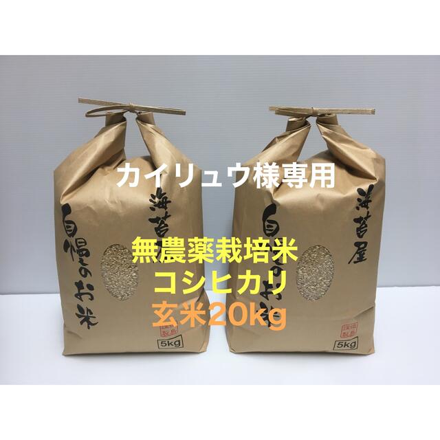 カイリュウ様専用 無農薬コシヒカリ玄米20kg(5kg×4) 徳島県産の通販 by U-KO's shop｜ラクマ