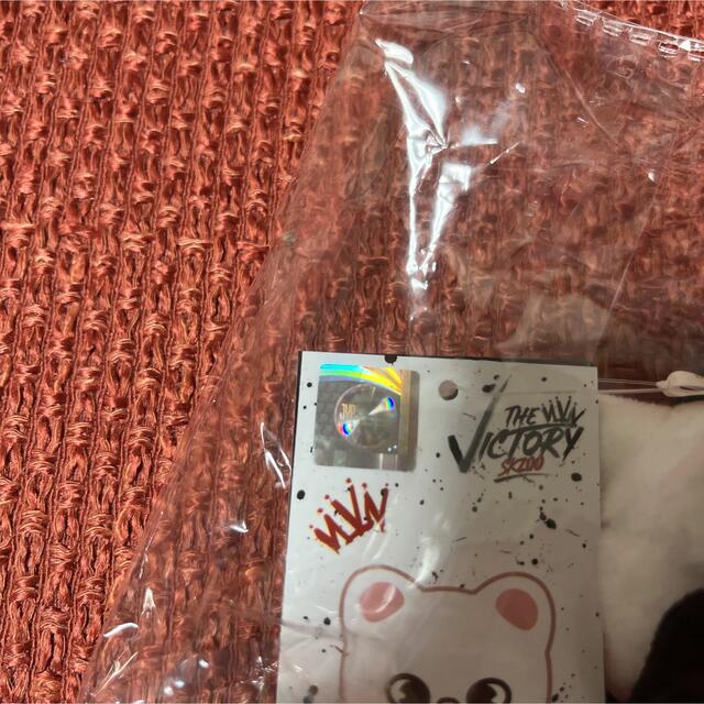 Stray Kids(ストレイキッズ)のStray Kids SKZOO ヒョンジン  ミニぬいぐるみ エンタメ/ホビーのタレントグッズ(アイドルグッズ)の商品写真