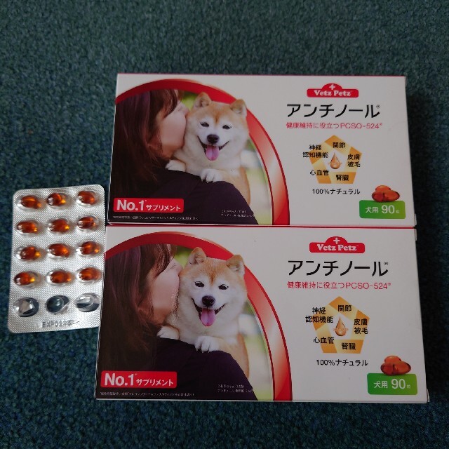 アンチノール犬