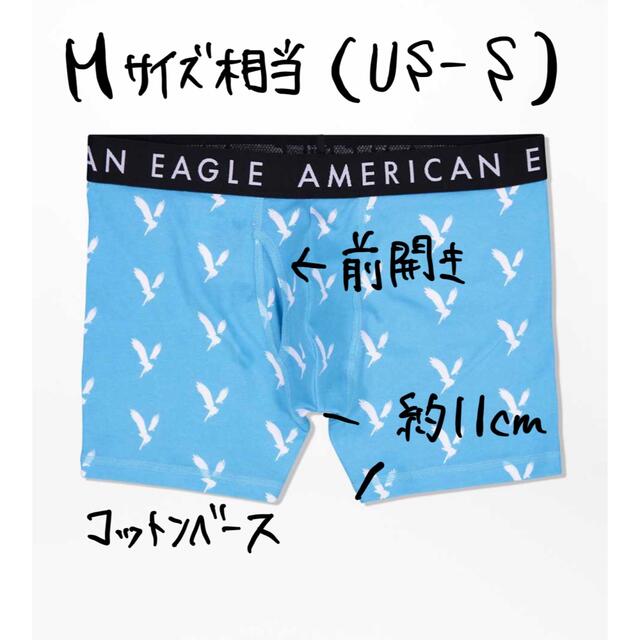 American Eagle(アメリカンイーグル)の【Mサイズ相当】アメリカンイーグル　ボクサーパンツ　水色　イーグル メンズのアンダーウェア(ボクサーパンツ)の商品写真