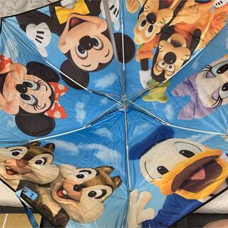 ディズニー(Disney)のディズニーランド　実写　傘(傘)