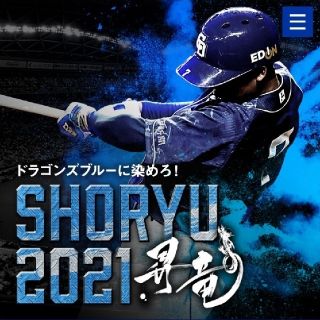 チュウニチドラゴンズ(中日ドラゴンズ)の中日ドラゴンズ昇竜ユニフォーム2枚(応援グッズ)