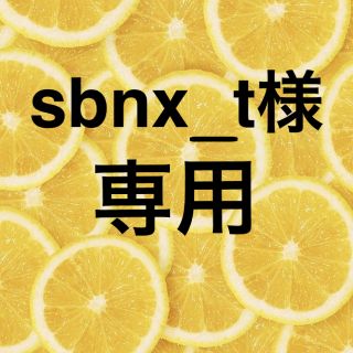 sbnx_t様専用◾️(ミニカー)