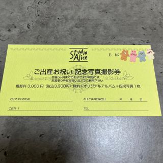 【値下げ中】スタジオアリス撮影券(その他)