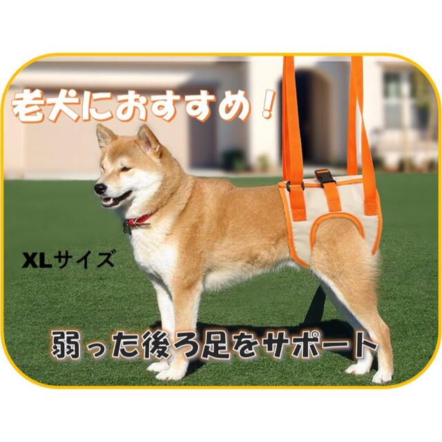 犬　介護ハーネス　XLサイズ　後ろ足用 その他のペット用品(犬)の商品写真