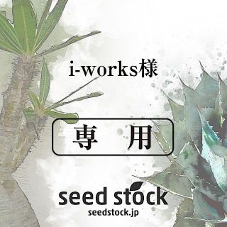 i-works様専用(その他)