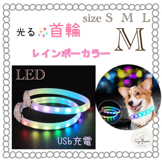 ○　新品　光る✨首輪　ホワイト　レインボー点滅　USB充電ケーブルつき　LED(犬)