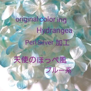 ✻originalcoloring Hydrangea✻(その他)