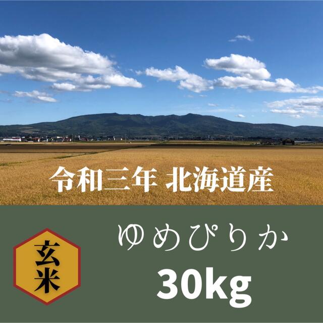 ラウンド 北海道産ゆめぴりか 30kg 米/穀物 - flaviogimenis.com.br ラウンド 北海道産ゆめぴりか 30kg 米/穀物 - flaviogimenis.com.br