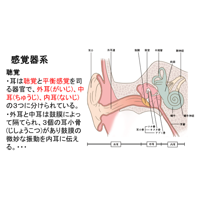 ○第一種衛生管理者 (スマホ学習データ付き） | felomi.com