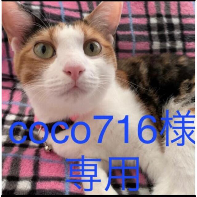 ★coco716 様専用★ その他のペット用品(猫)の商品写真