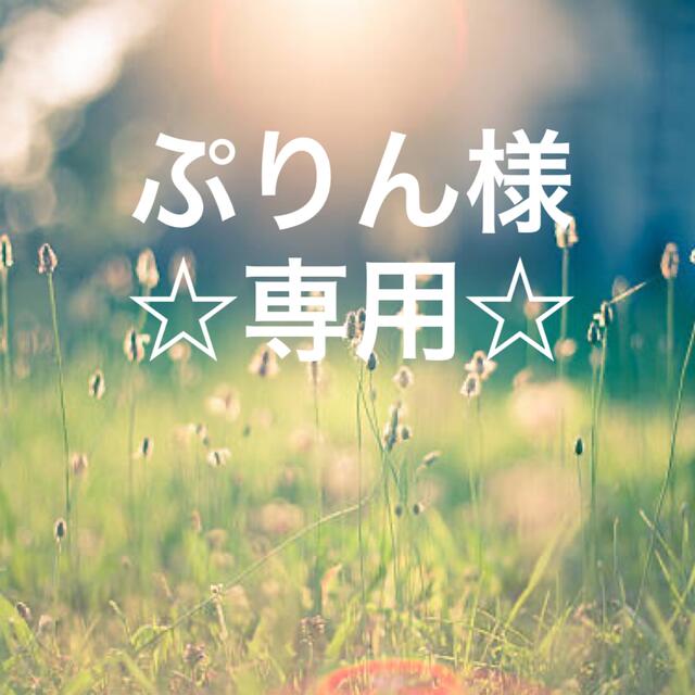 ☆日本の職人技☆ Pn - ☆ぷりん様専用☆の通販 by ロンサム亭