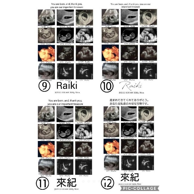 エコーアルバム キッズ/ベビー/マタニティのメモリアル/セレモニー用品(アルバム)の商品写真